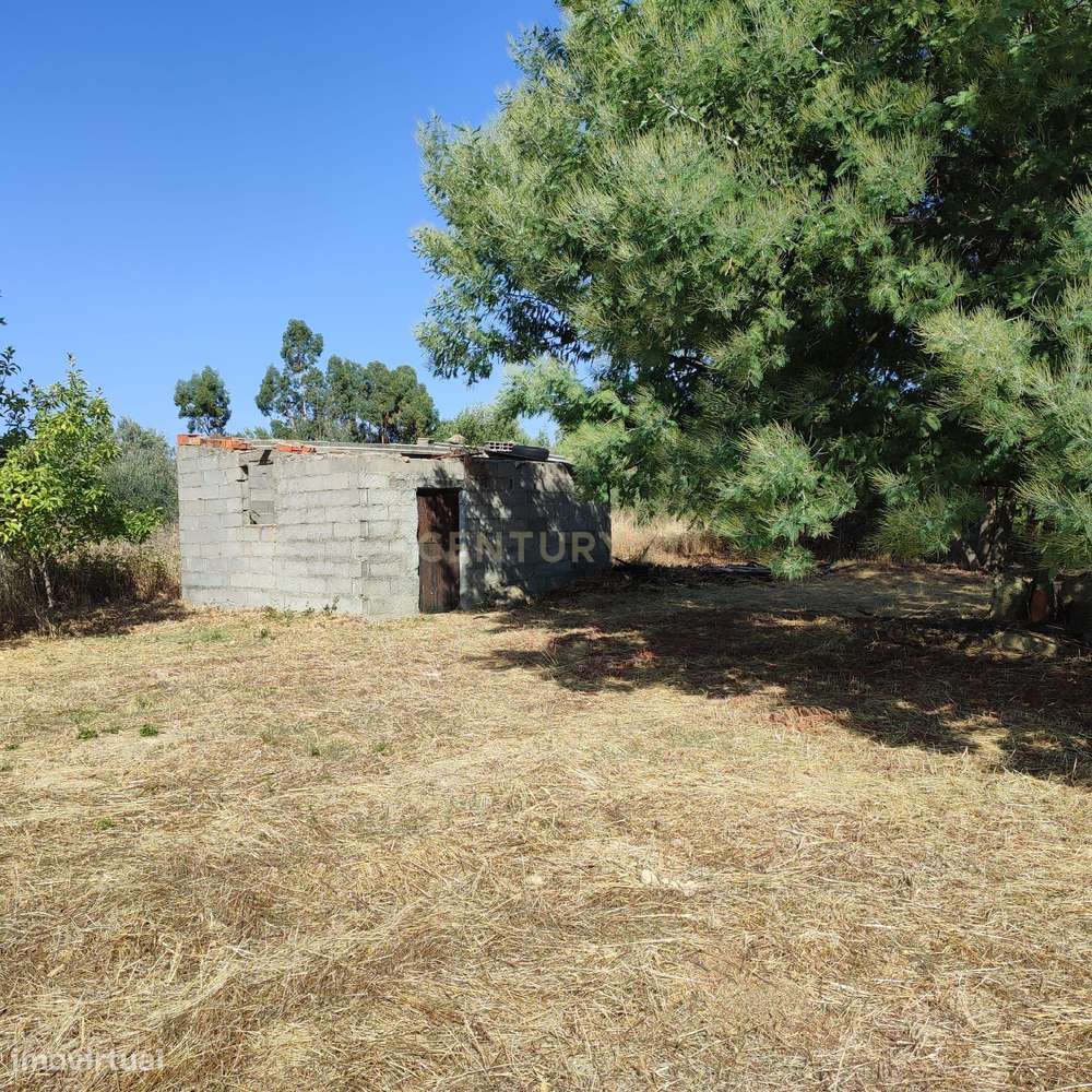 Terreno Rústico com 4625m2 na Lardosa, Castelo Branco - Grande imagem: 3/14