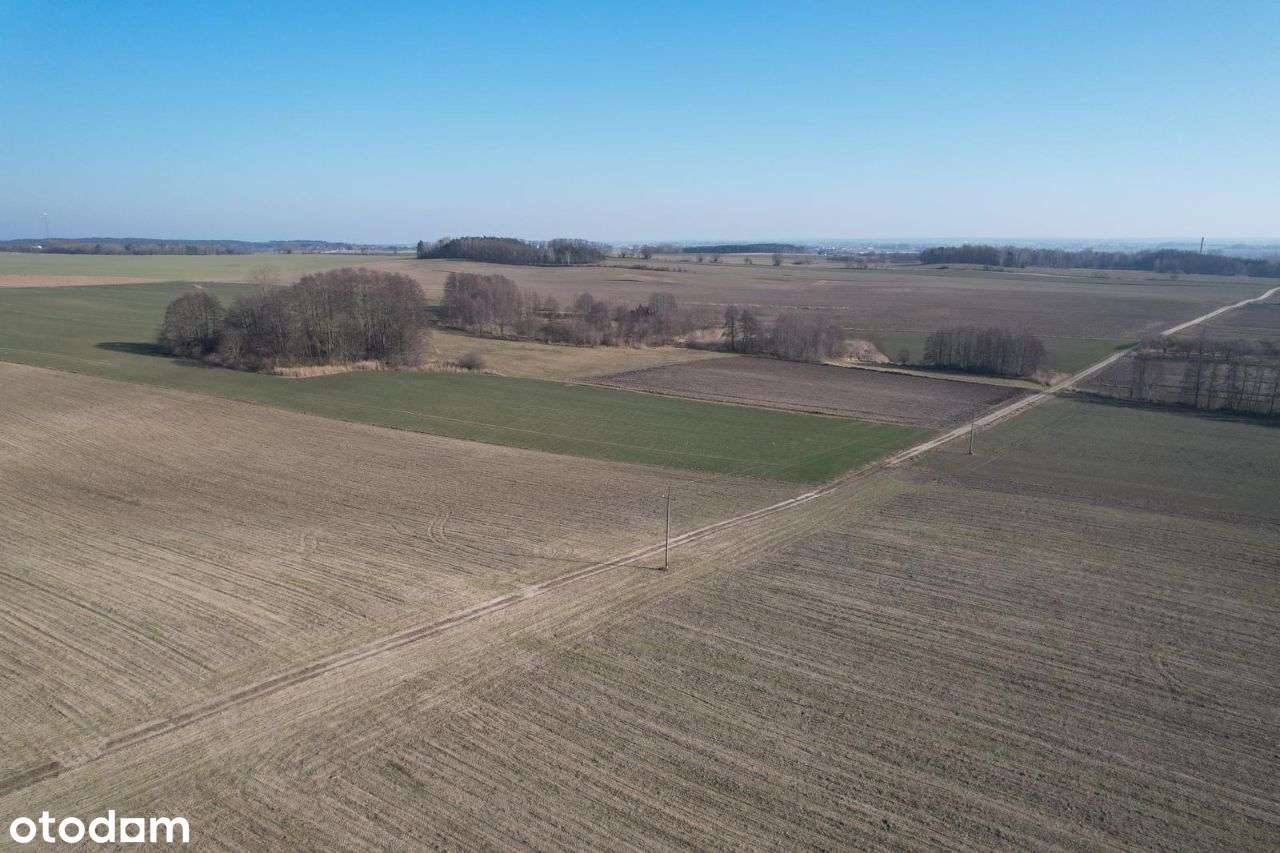 Dziaka budowlana Syców, Perzów, Kępno ,Koza Wielka - Pełny obrazek: 5/9