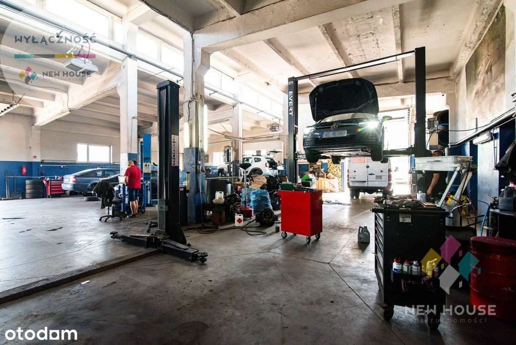 Hala/ magazyn/ warsztat, dobra lokalizacja - Pełny obrazek: 5/20