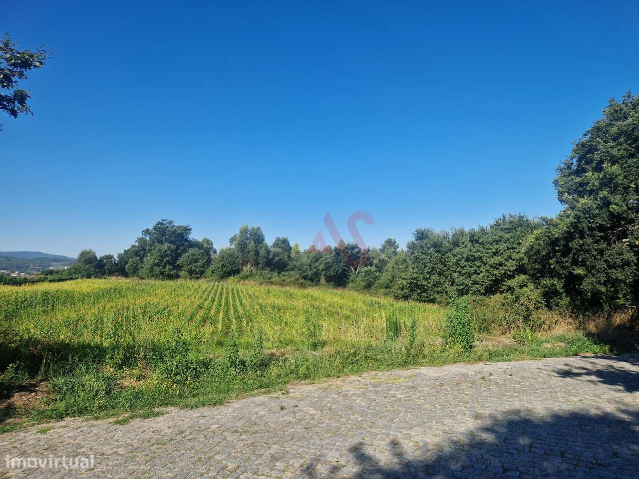 Terreno com 15800 m2 com possibilidade de construção em Serzedelo, Gui - Grande imagem: 4/7