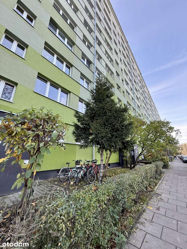 Na sprzedaż 41m2 - Jelenia przy Magnolii/rozkład/balkon:-11