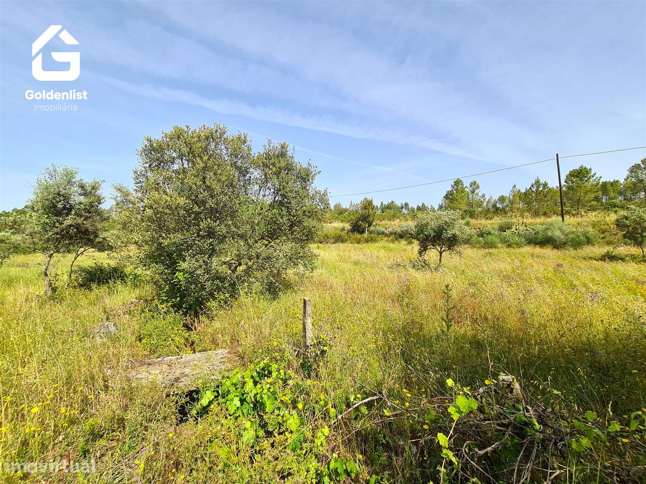 Quinta  Venda em Sarnadas de Ródão,Vila Velha de Ródão-27