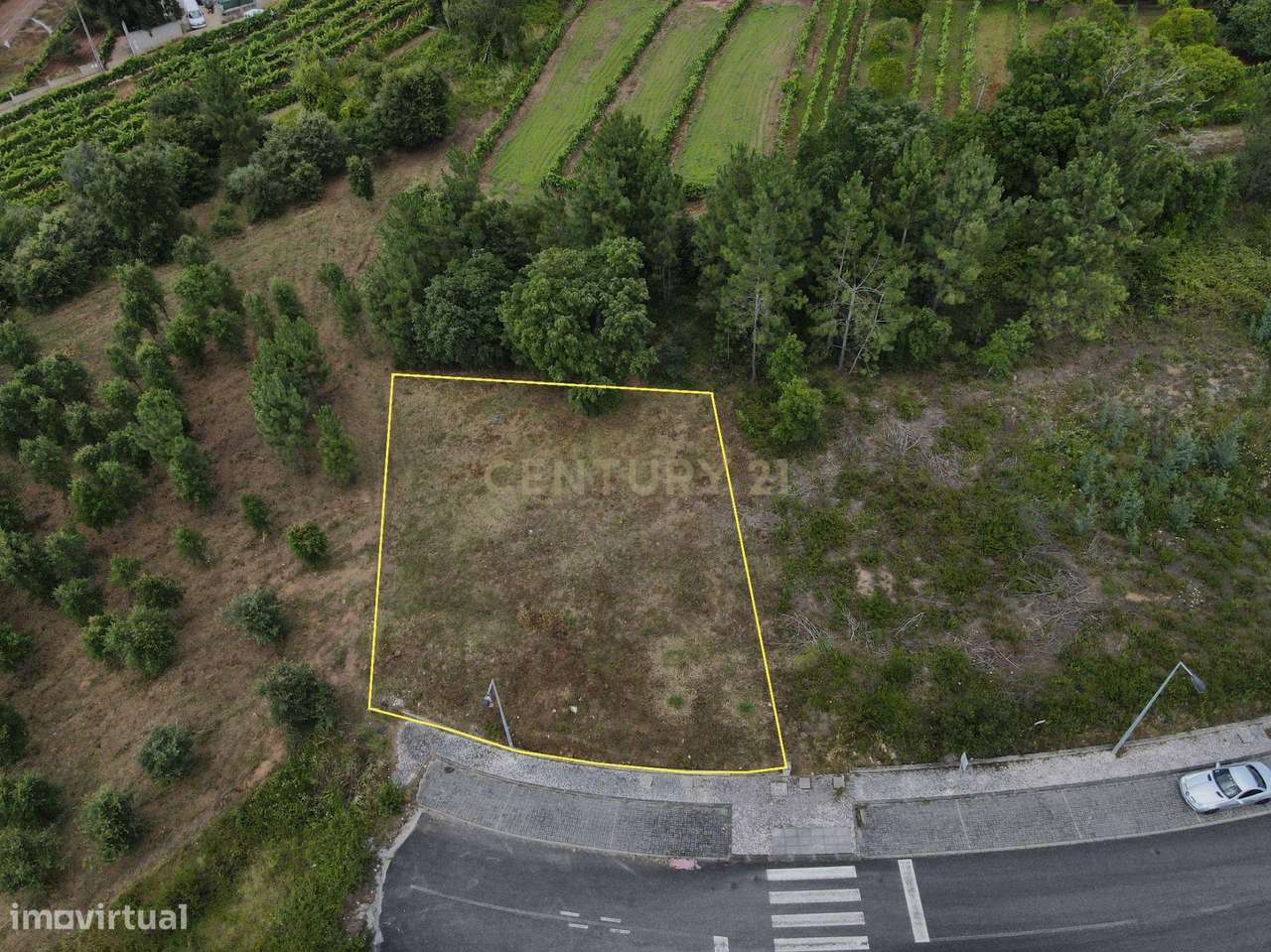 Lote de Terreno para Construção - Coimbra - Grande imagem: 3/5