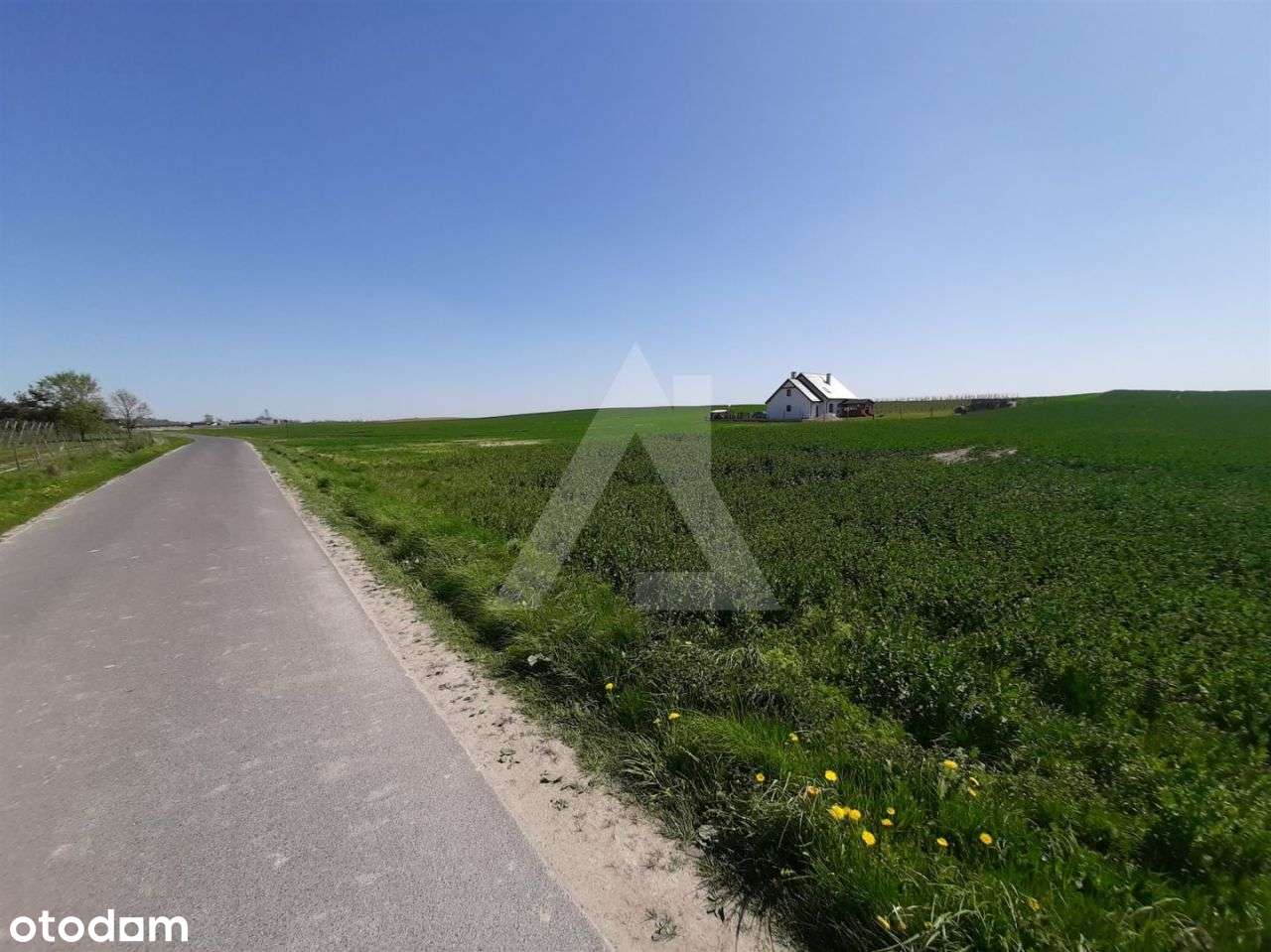 Działka w Trzemiętowie 1625 mkw warunki zabudowy - Pełny obrazek: 4/6