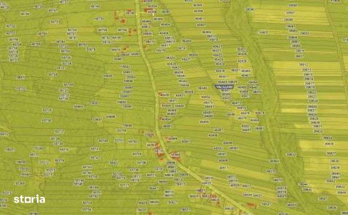 teren extravilan, loc. Bustuchin, Jud Gorj - Imagine principală: 2/3