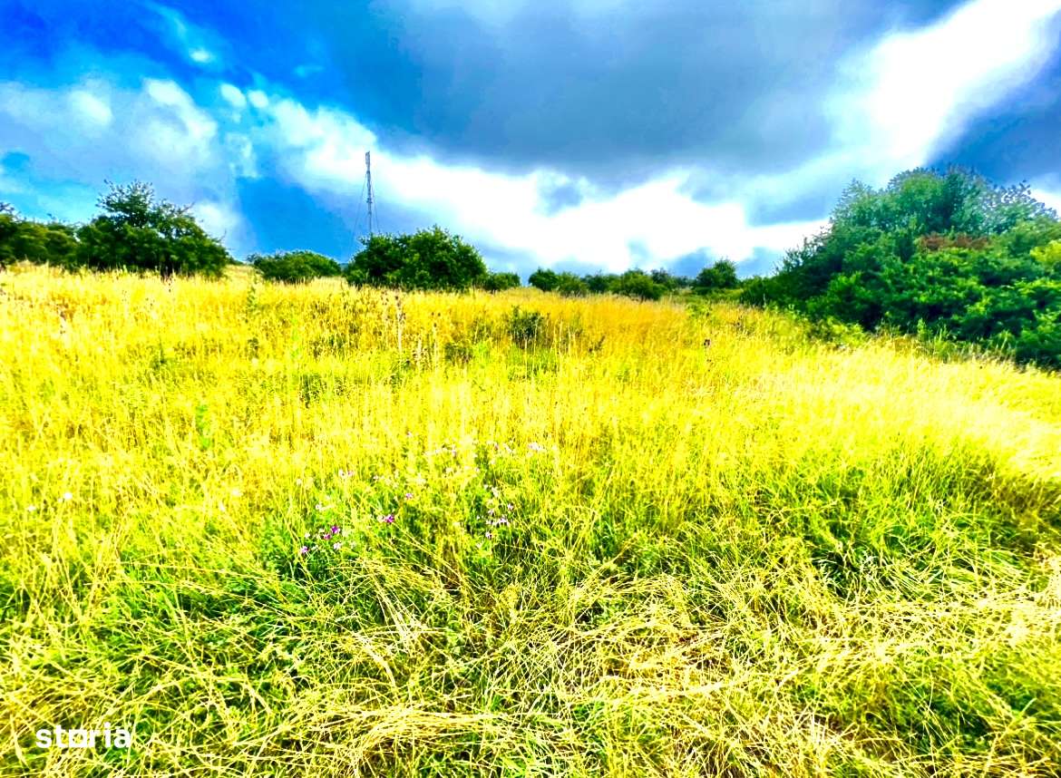 Teren la Soare zona Sigmirului ! - Imagine principală: 4/13