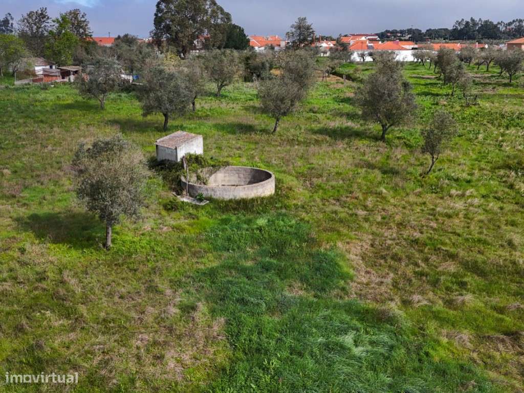 Quinta para Venda na Aldeia do Futuro - Grândola-30
