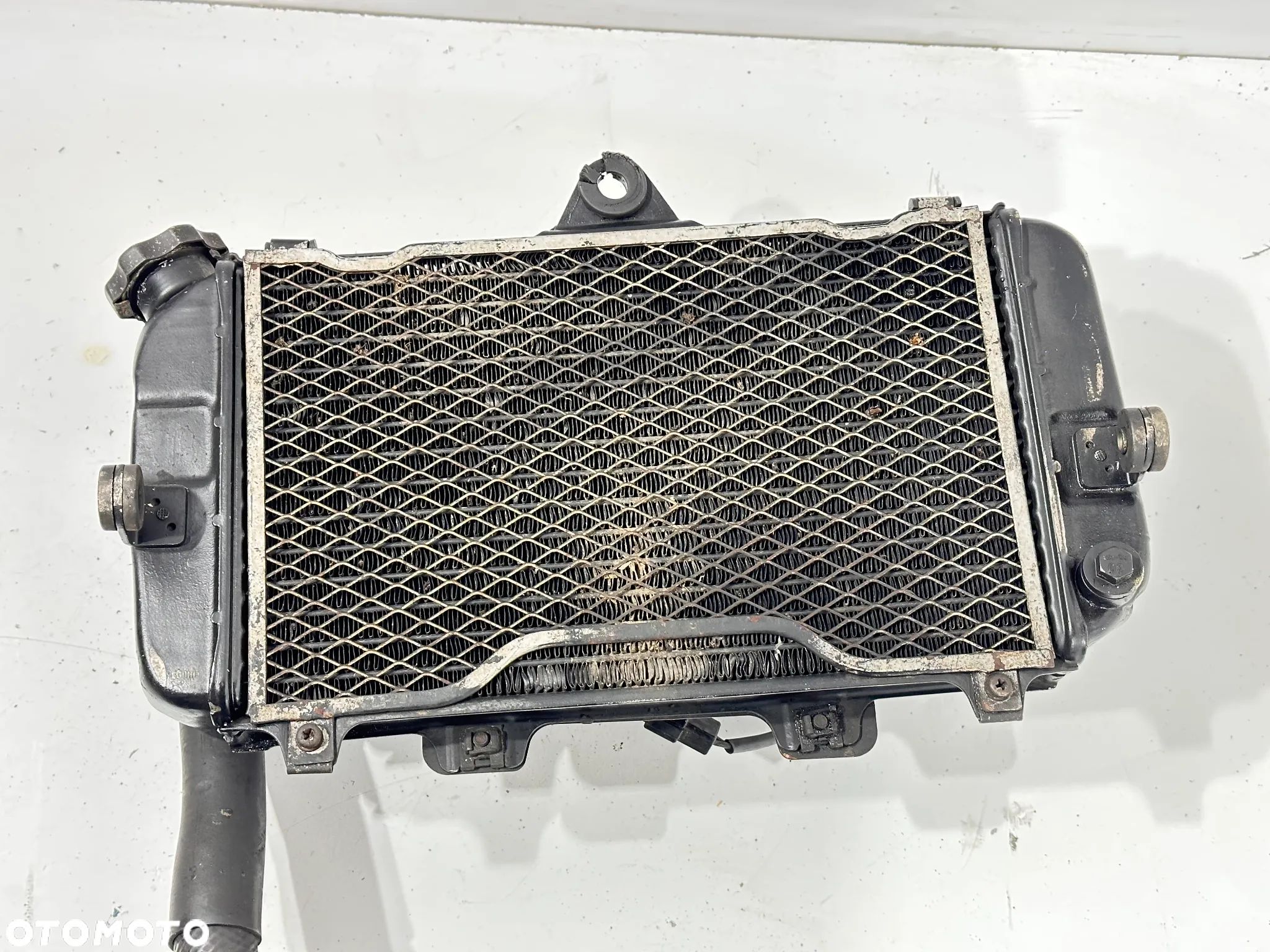 Chłodnica Yamaha TDM 850 3VD - 1