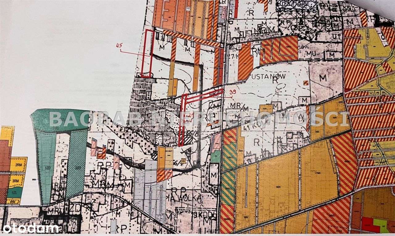 Ustanów 3,8 ha trzy działki - Pełny obrazek: 4/5
