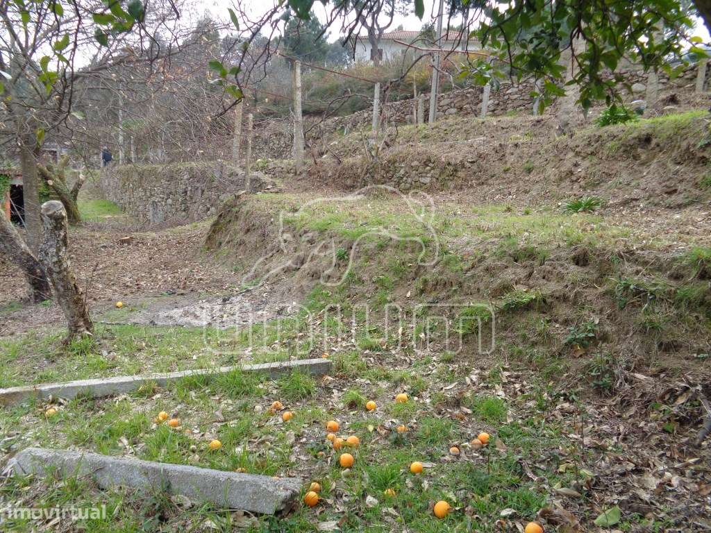 TERRENO COM RUÍNA - Labruja, Ponte de Lima - Grande imagem: 1/7