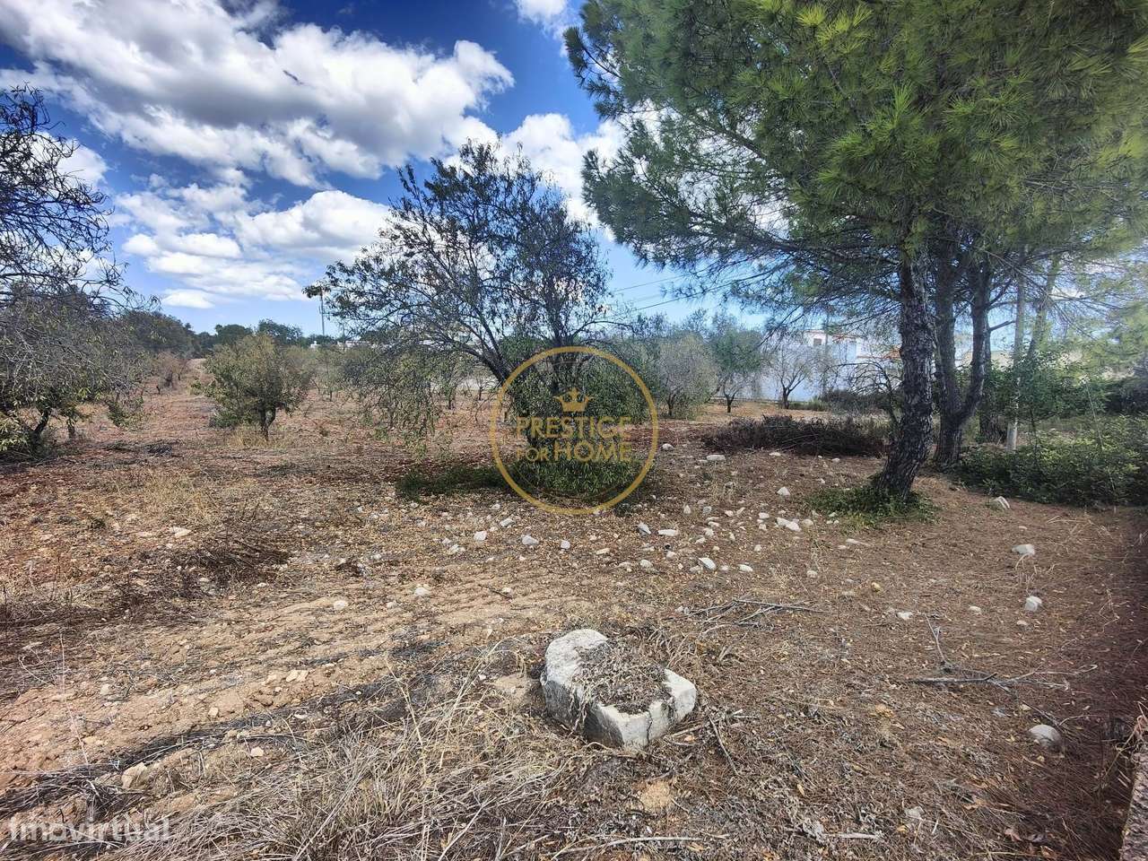 Terreno urbano com 2,136m2 com viabilidade de construção de 300 m2 - Grande imagem: 5/7