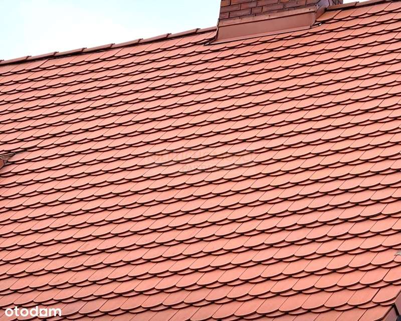 Przytulne dwupokojowe mieszkanie na parterze!-6