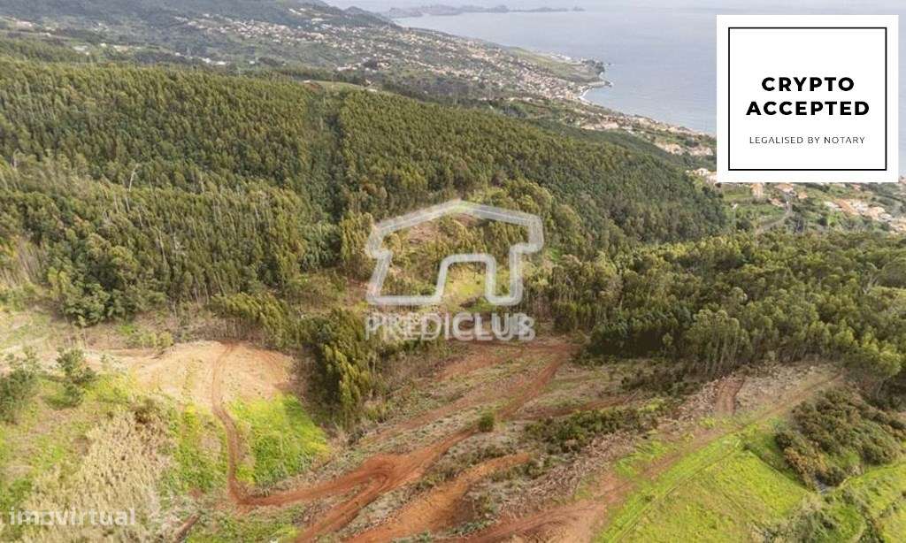 Terreno - Gaula - Grande imagem: 1/15