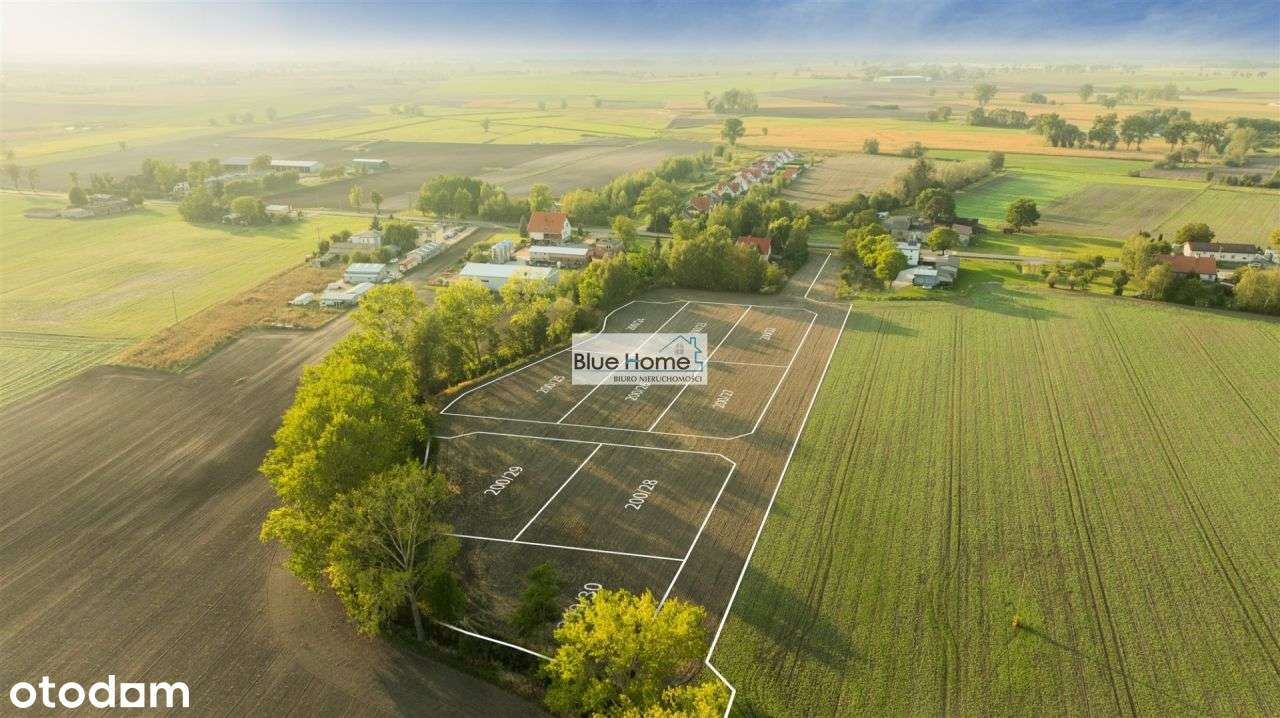 Gostkowo 9 działek budowlanych z dojazdem i media - Pełny obrazek: 5/7