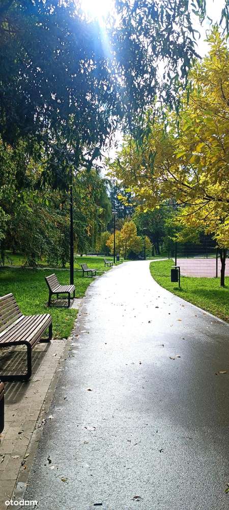 3-pok. z balkonem tuż przy parku – os. Tysiąclecia, blisko szkół i obw-15