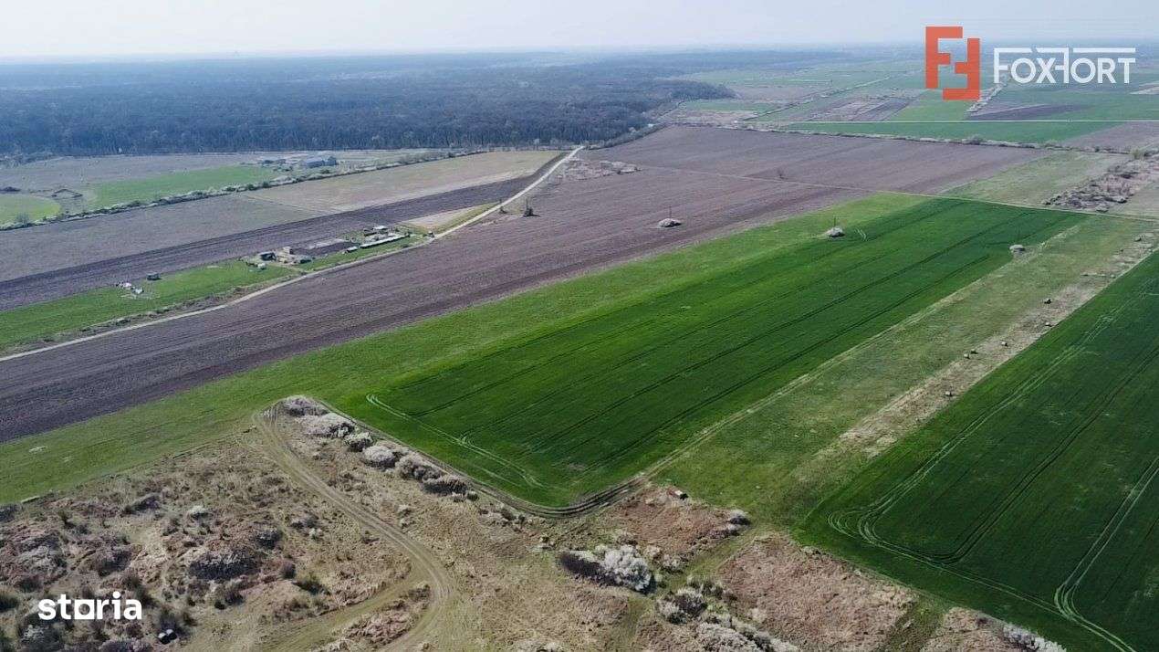 COMISION 0% Teren Extravilan 10.000 mp, Front 15,6ml, Langa Padurea Gi - Imagine principală: 3/4