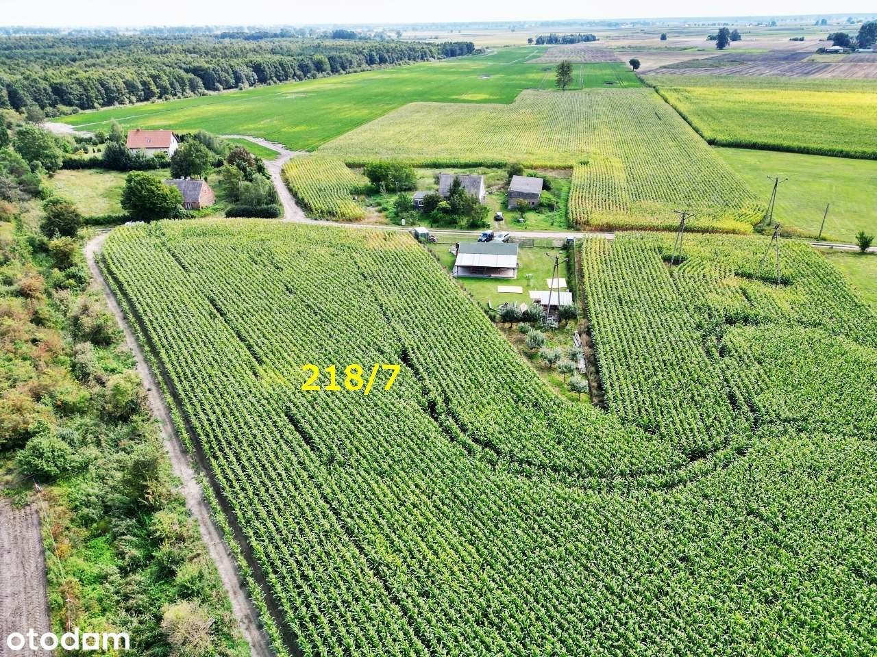 Duża działka budowlana przy lesie z WZ! Słońsko-3