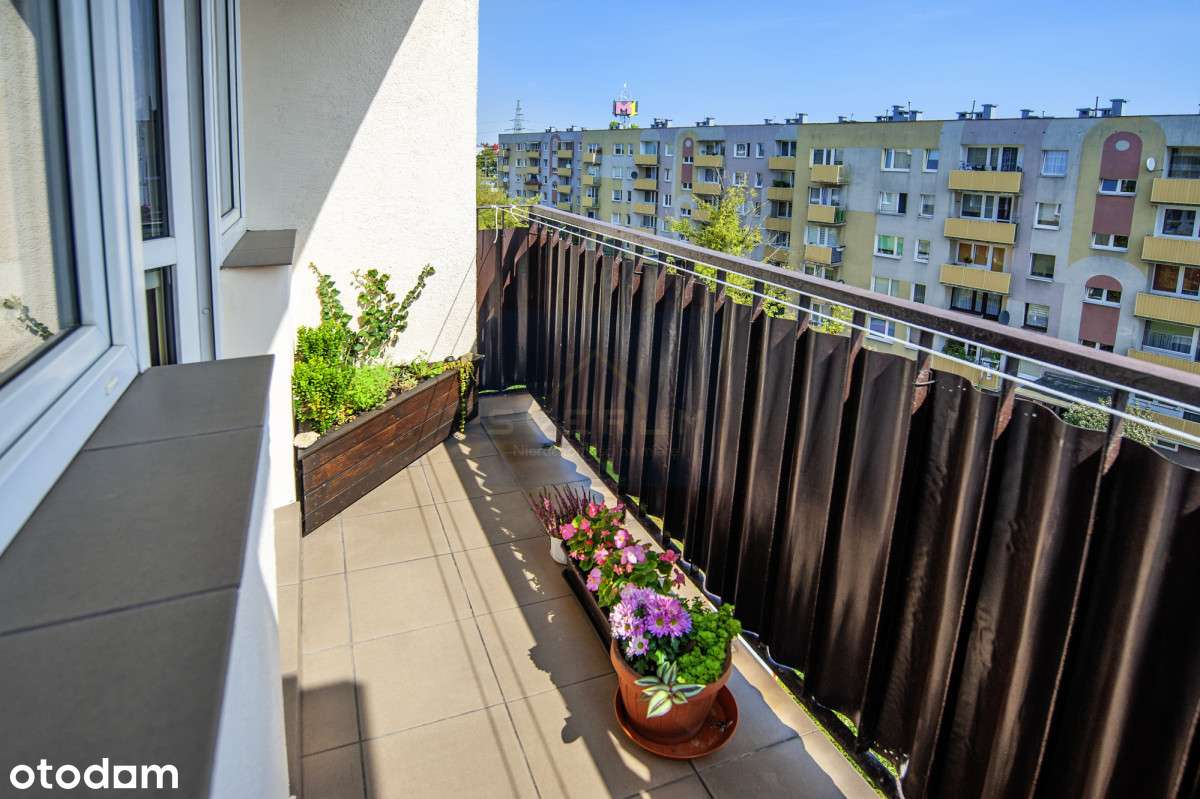 2-pokojowe mieszkanie z balkonem na Tysiącleciu - Pełny obrazek: 5/15