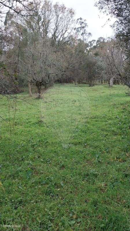 Terreno  para venda - Grande imagem: 4/7