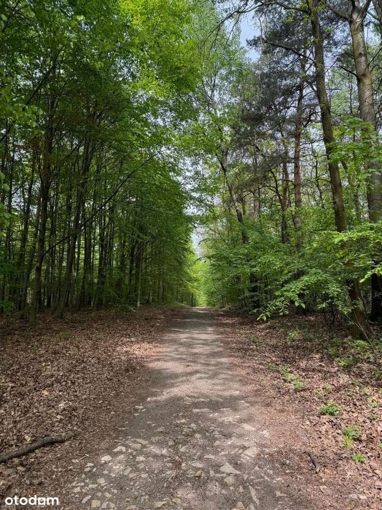 Działka budowlana przy lesie cisza działki premium-1