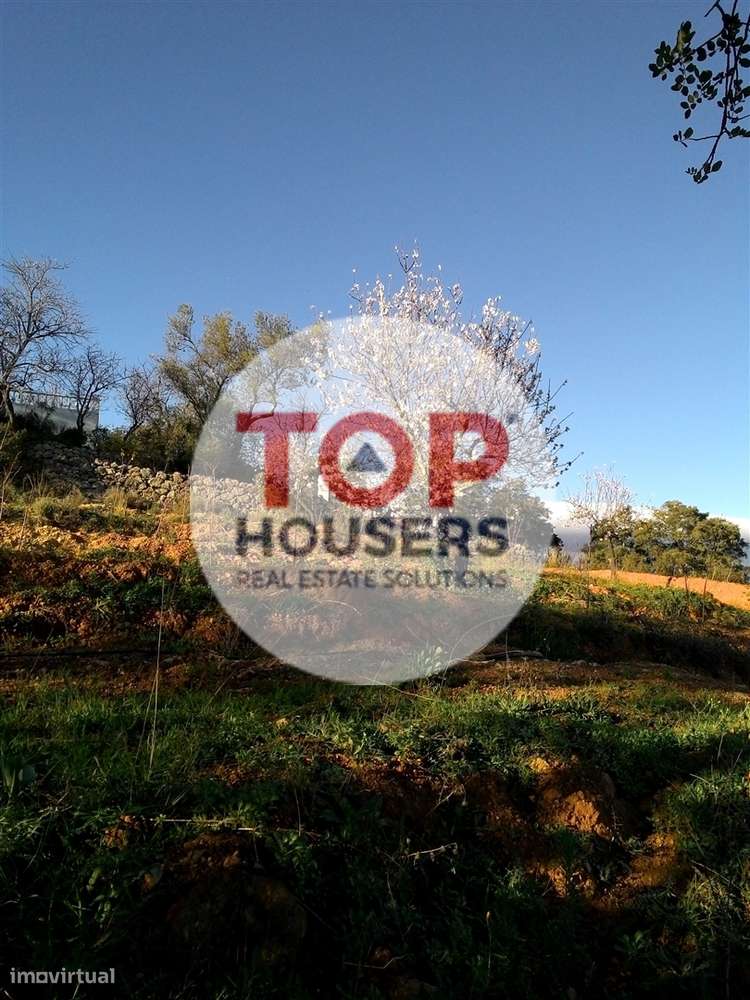 Terreno Rústico - Certificação Biológica - 7ha - Grande imagem: 4/5