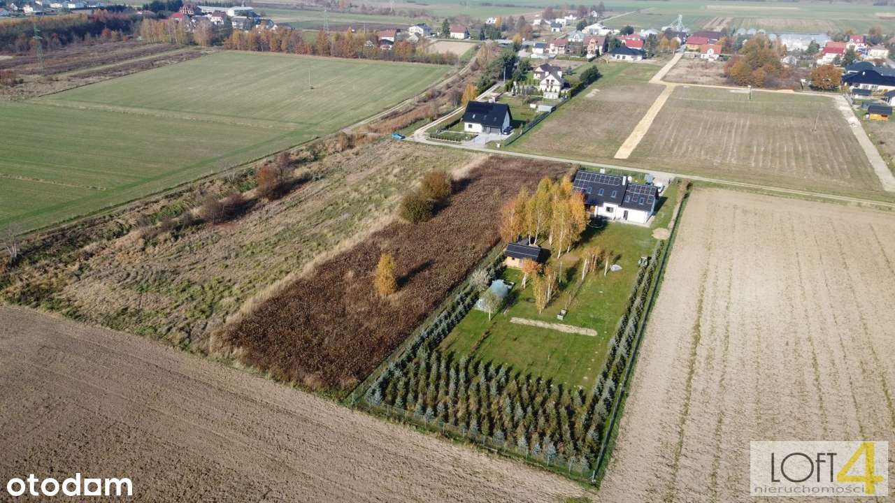Duża działka  z WZ w Pawęzowie - Pełny obrazek: 4/14