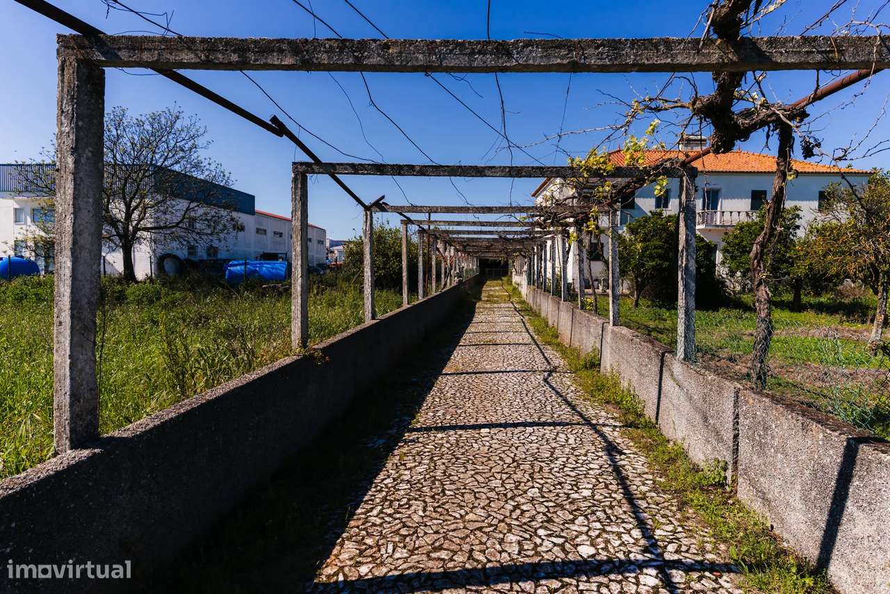 Propriedade com 11 divisões para recuperação em Estremoz com uma área - Grande imagem: 4/25