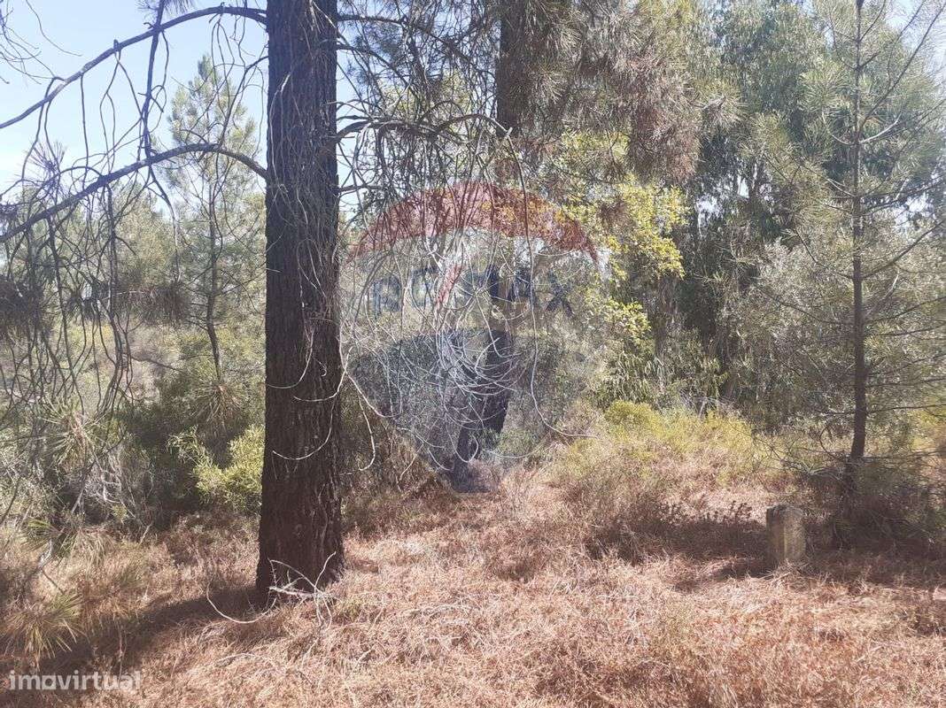 Terreno  para venda - Grande imagem: 2/3