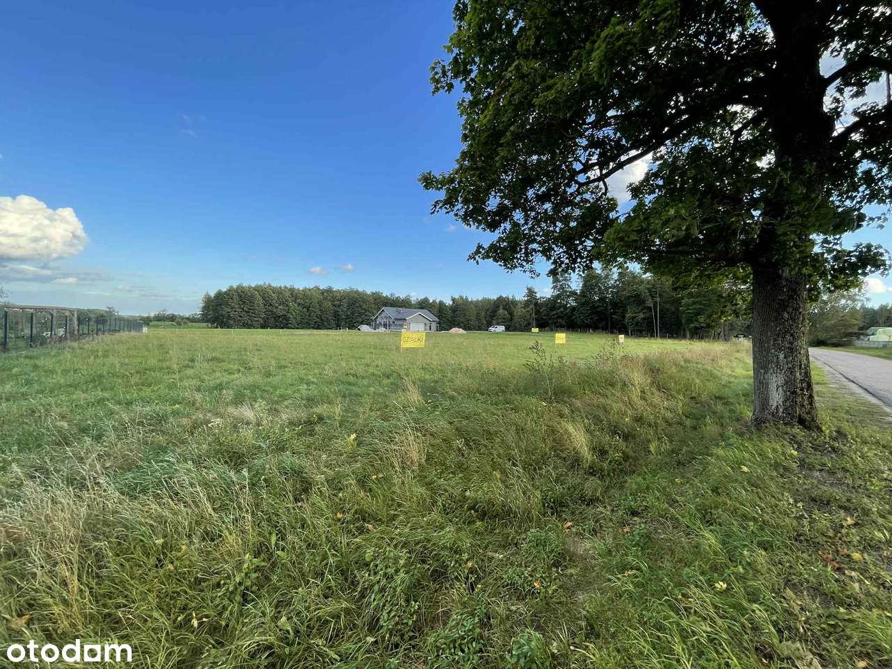 Działka na sprzedaż Orłowo (w-z) zabudowa jednorodzinna - Pełny obrazek: 4/15