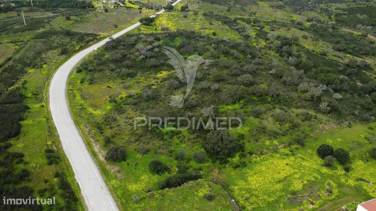Terreno rústico com 3,43ha no Azinhal - Grande imagem: 3/10
