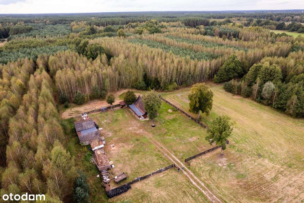 Siedlisko w m. Boruja Nowa-10