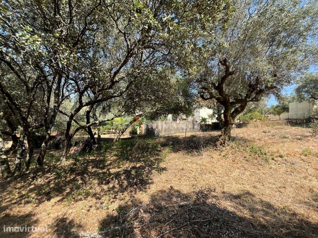 Terreno rústico com PDM urbano - Vale do Calvo, Tomar - Grande imagem: 5/13