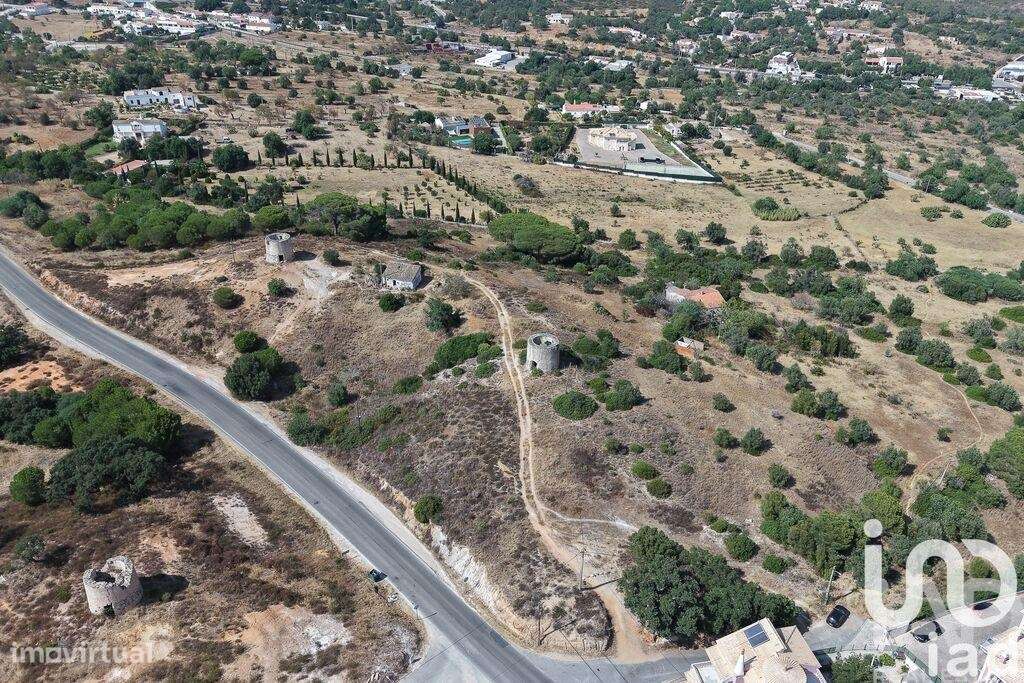 Terreno misto em Ferreiras - Grande imagem: 4/9