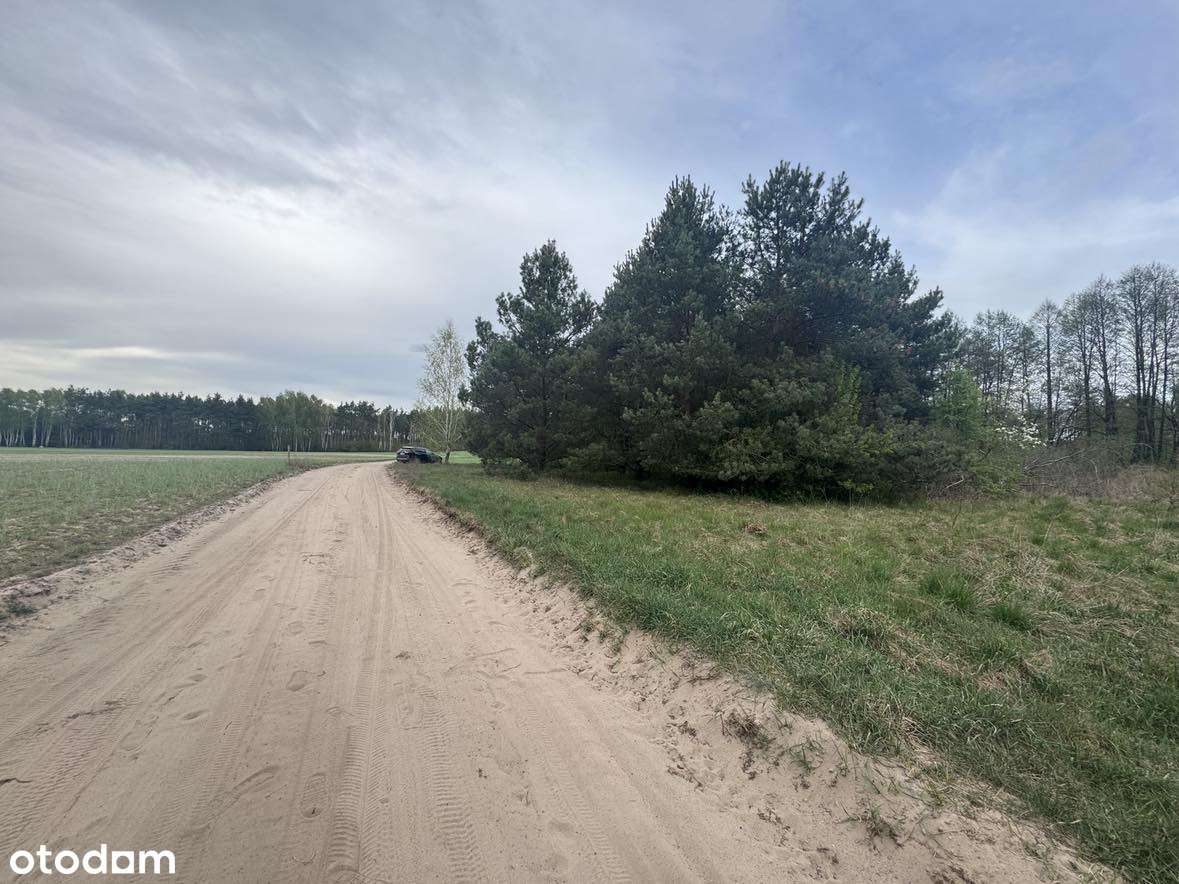 OKAZJA!!!!KORNELIN gmina Szubin 2 Jeziora, las, cisza-3