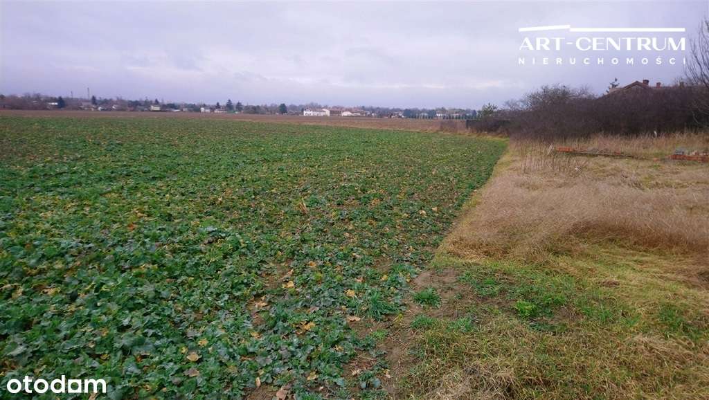 Działka Ciechocinek-1