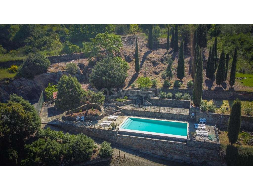 Magnifica Quinta T14 com licença de AL situada na região do Douro e... - Grande imagem: 3/59