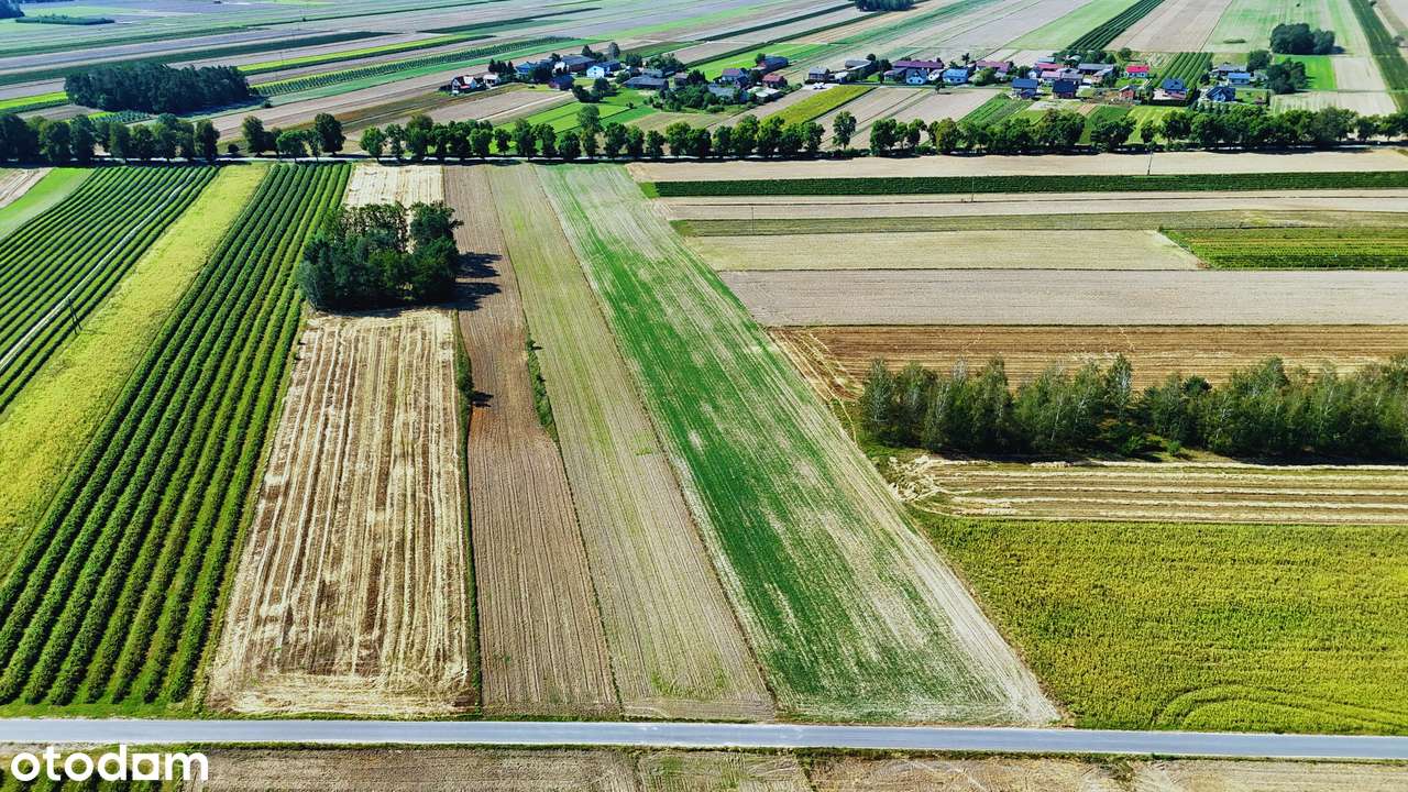 Ostatnia działka w Janolinie | rolna 0,79 ha | MPZP, Asfalt, Wodociąg-6