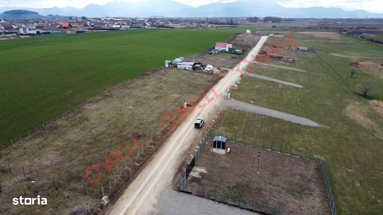 Teren intravilan de vânzare între Bod și Sânpetru! - Imagine principală: 3/7