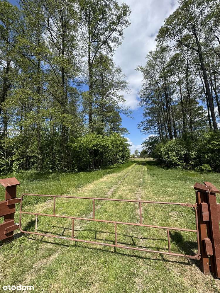 ! NOWA CENA ! Działki BUDOWLANE, Chrzczanka-Folwark gmina DŁUGOSIODŁO-11