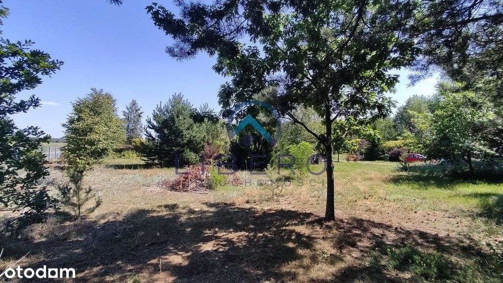 Klimatyczne siedlisko pod lasem - Pełny obrazek: 5/20