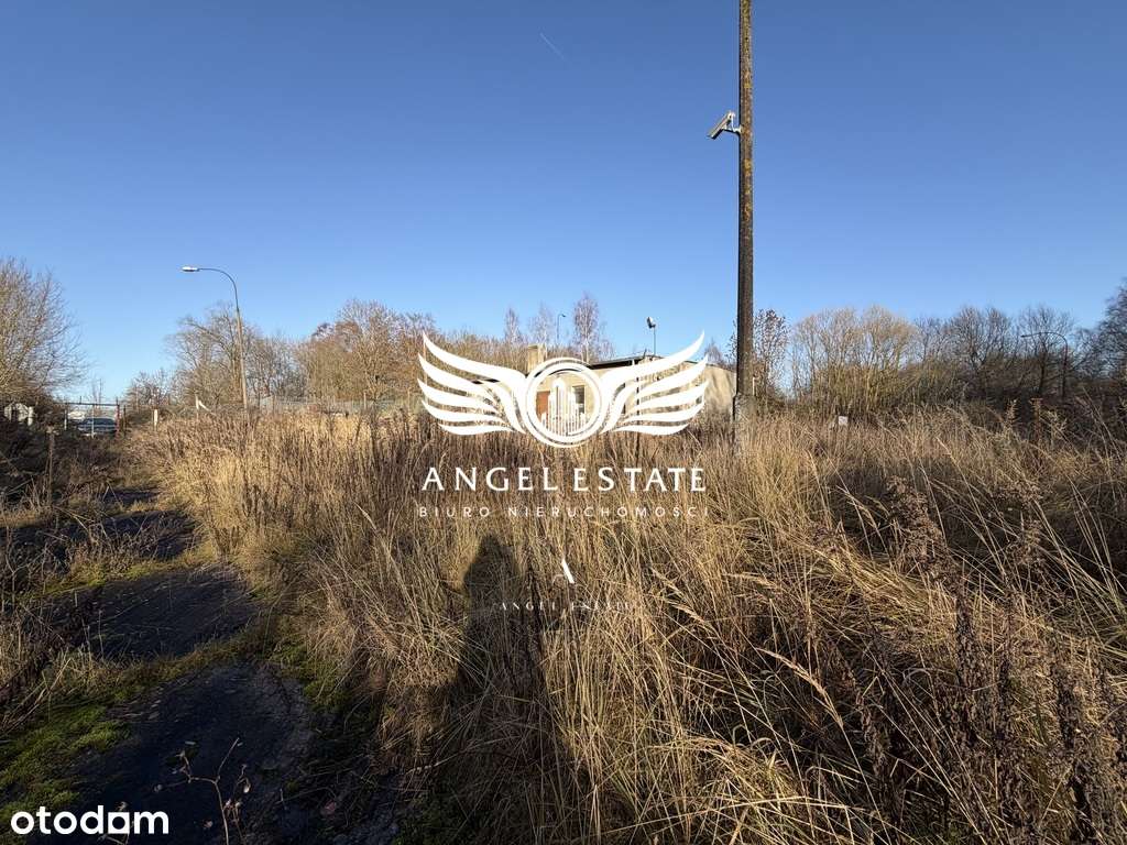 Ogrodzona działka 22 ha z prądem - Pełny obrazek: 5/6