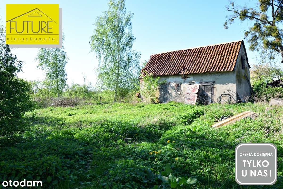 Działka budowlana w miejscowości Drużno - Pełny obrazek: 4/4