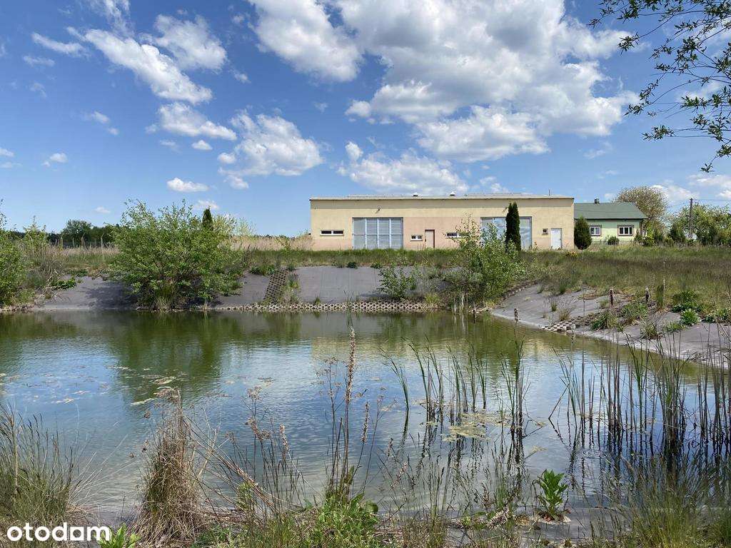 Hala produkcyjno-warsztatowa 209 m kw. gm. Przyłęk-6