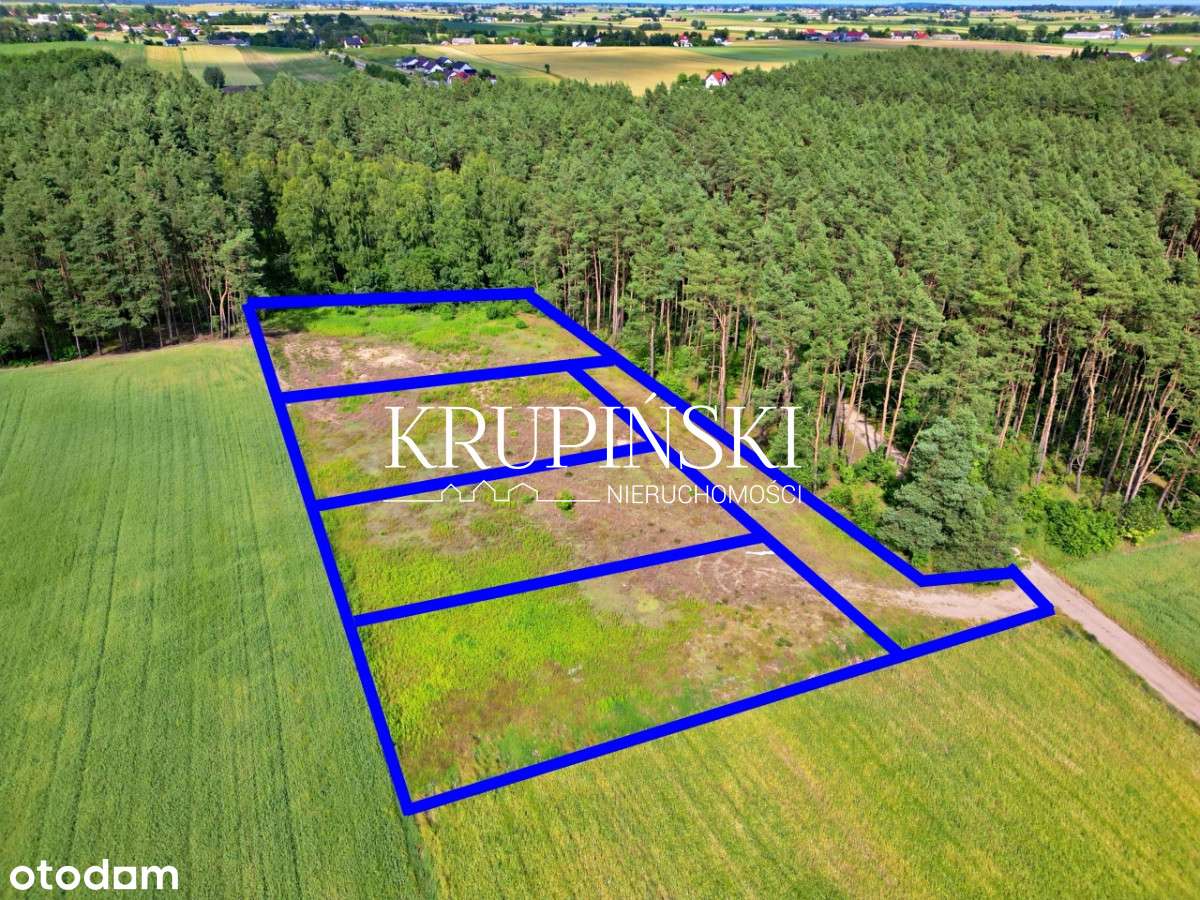 Dobrzejewice działki pod lasem! - Pełny obrazek: 2/17