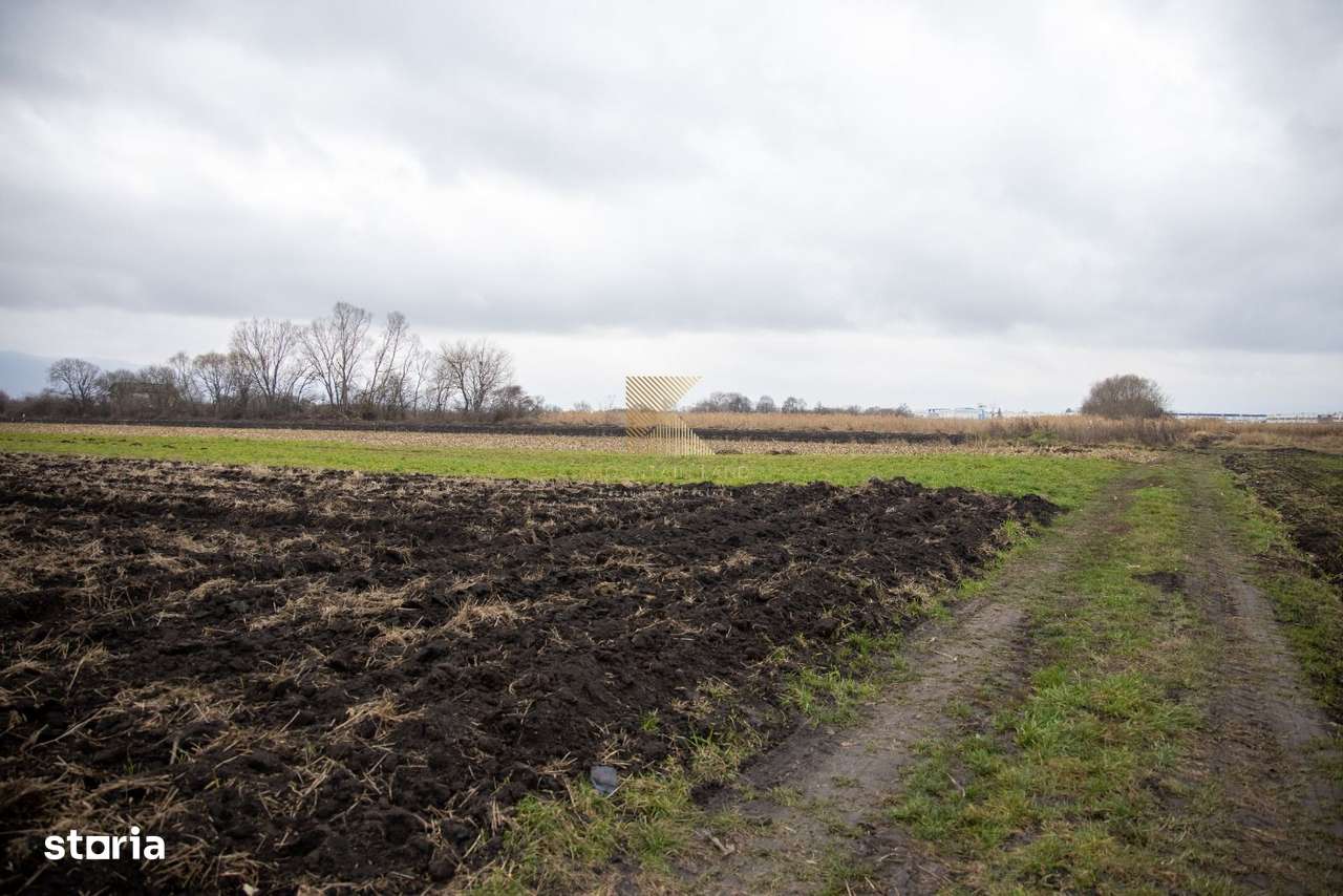 Loturi de teren, suprafete intre 467 si 535 mp, PUZ, Stupini, Albinelo-10