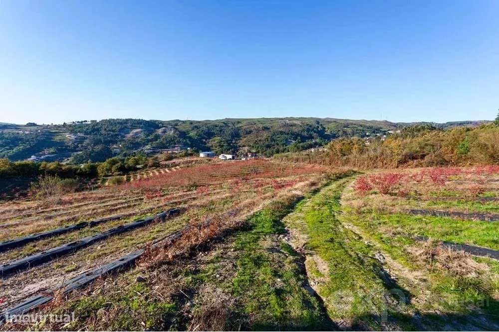 Quinta do Tapado Novo - Baião - Grande imagem: 4/16