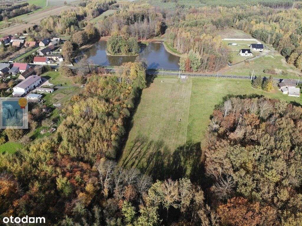 Zajączek gm. Lipinki Łużyckie |działki z Wz - Pełny obrazek: 4/4