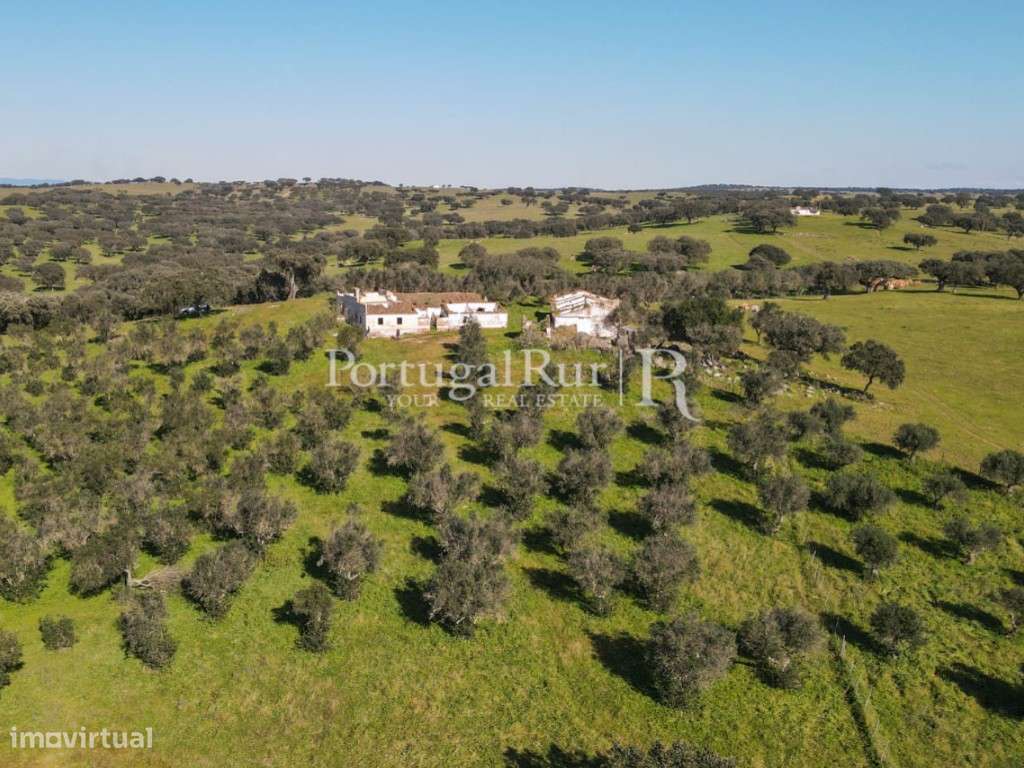 Herdade de 18 hectares perto de Estremoz-17