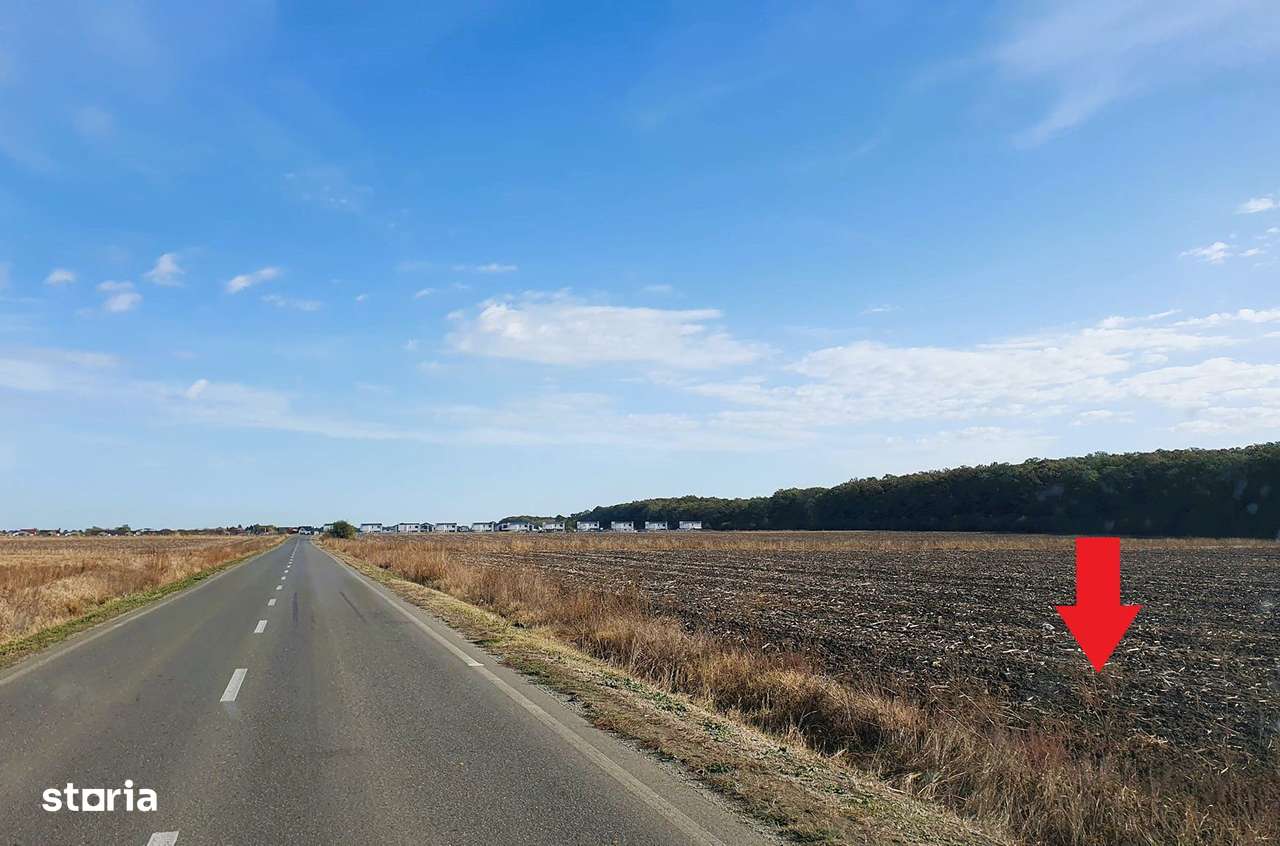 Teren de vânzare lângă pădure, intravilan - Imagine principală: 1/3