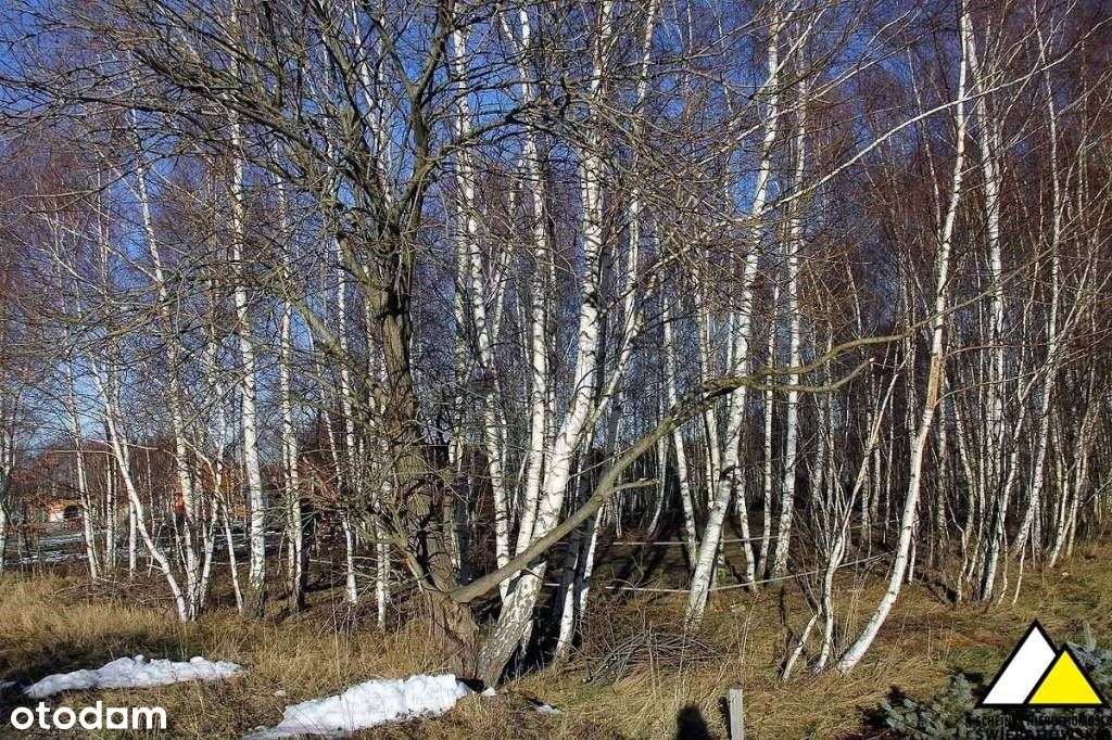 Działka z widokiem na góry-4